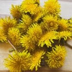 dandelion flowers laid on a wooden table