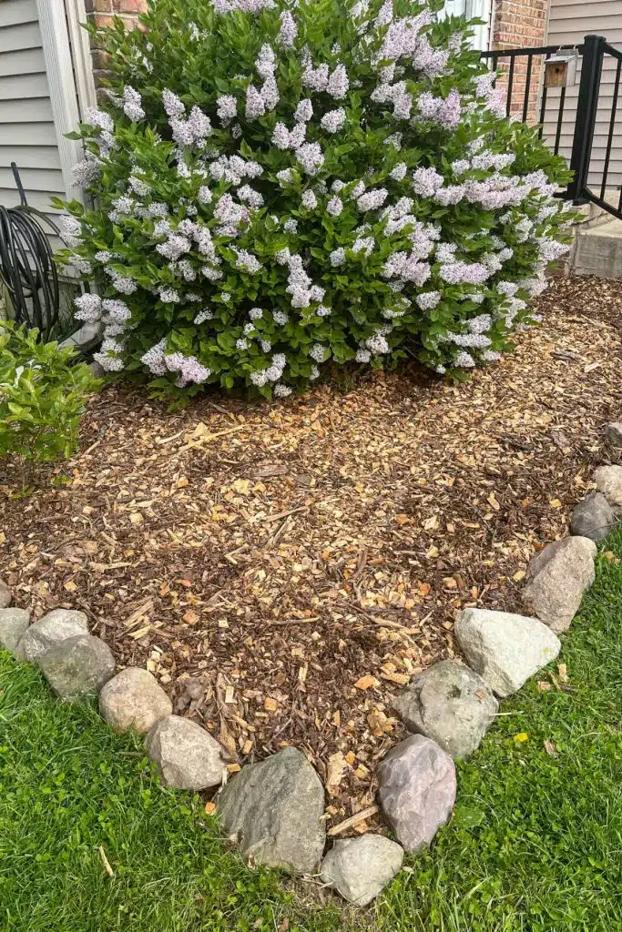 corner of a flower bed with mulch and rock border