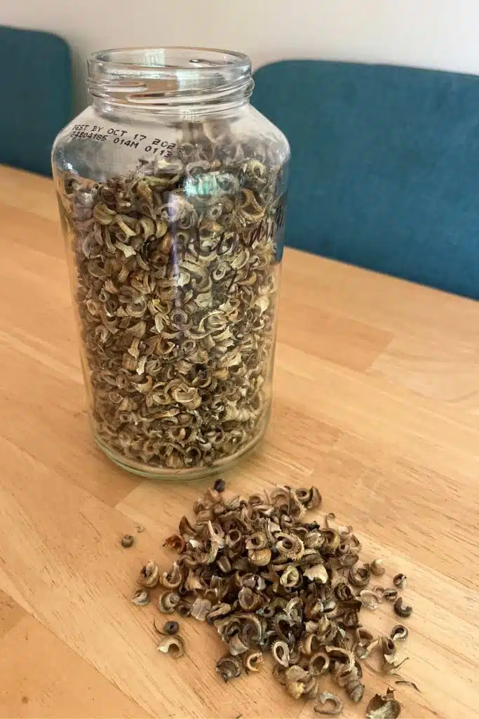glass jar full of calendula seeds