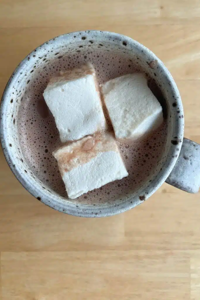 cup of homemade hot chocolate with marshmallows