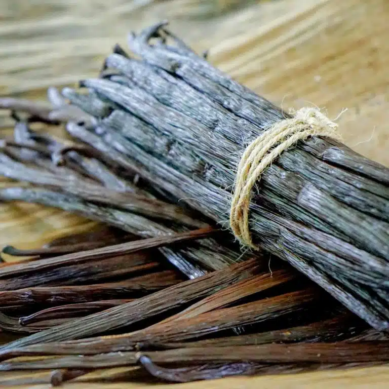 vanilla bean pods tied together