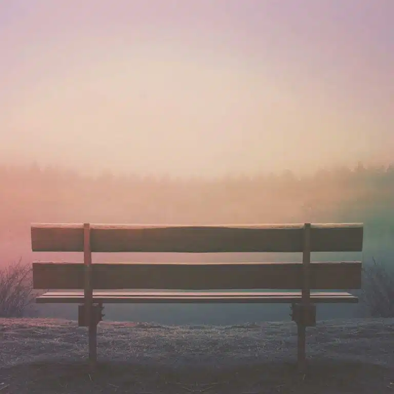 bench overlooking hazy horizon